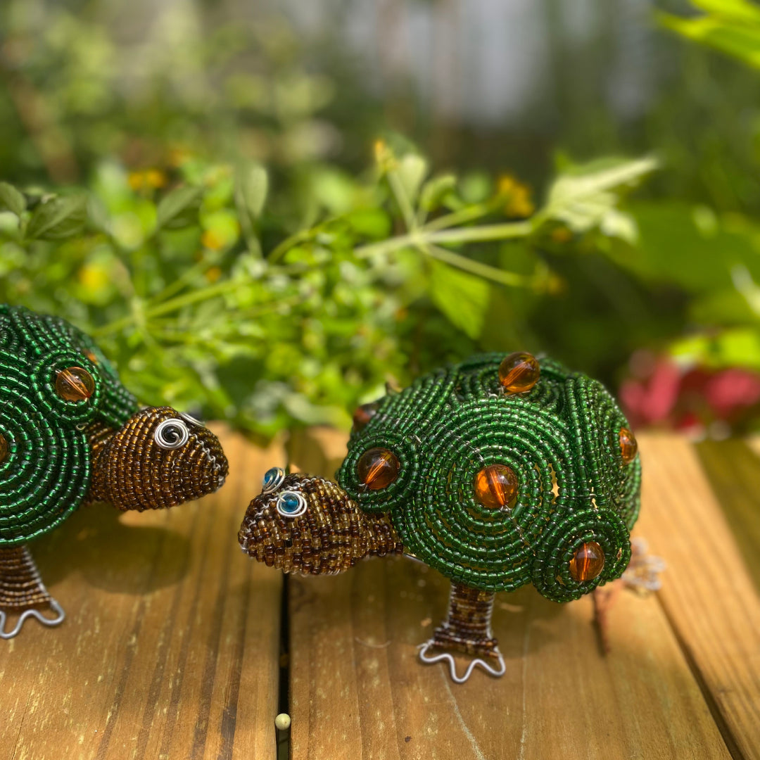 Turtle (Set of 2)